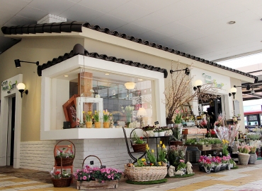 「ぐりーん・はうす」　（新潟県新潟市中央区）の花屋店舗写真1
